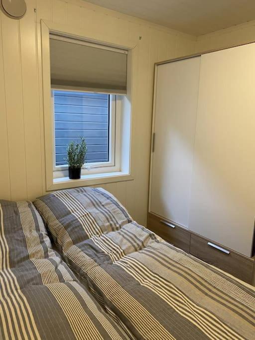 Helt Ny Rorbu Pa Slyngstad I Alesund Kommune Exterior foto